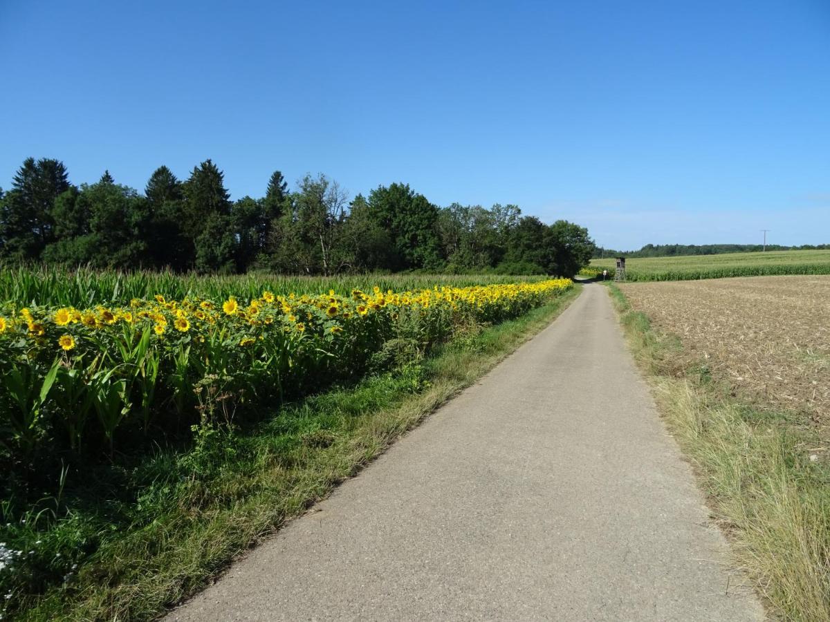 דירות Dietingen Turm Im Blick מראה חיצוני תמונה